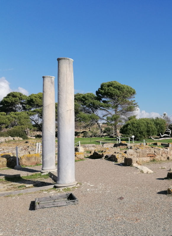 foto che ritrae uno dei colonnati nel sito archeologico di Nora