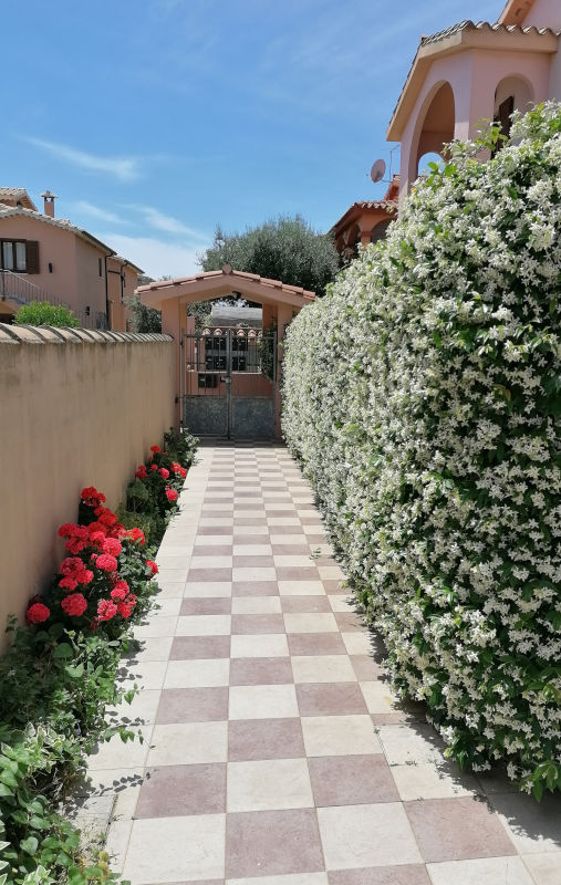 foto dell'ingresso di casa grace con parete di gelsomino